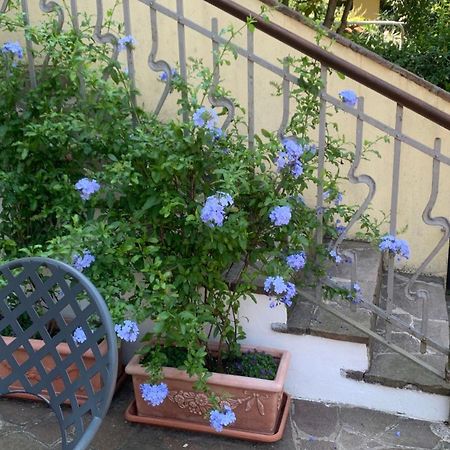 B&B Margherita Десенцано дел Гарда Стая снимка